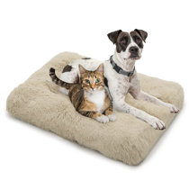 Wayfair large dog clearance beds